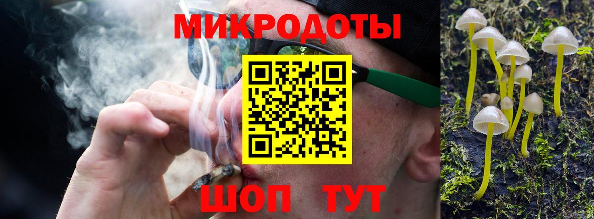 Псилоцибиновые грибы Psilocybine cubensis Волжск