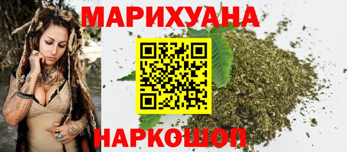 Конопля сатива  Вход с VPN  Волжск  Каннабис планчик  Бошки Шишки Ganja  Марихуана план 